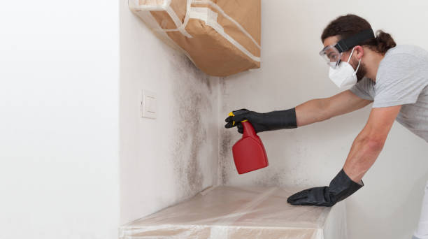 Professional Attic Mold Remediation technician working in Oxford, MD