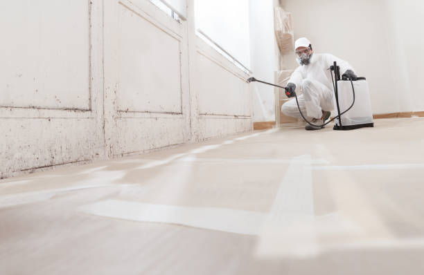 24/7 Emergency Attic Mold Remediation experts in Oxford, MD