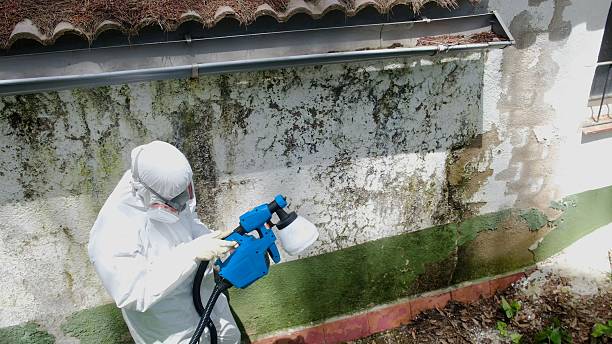 Top rated local Attic Mold Remediation specialists in Oxford, MD